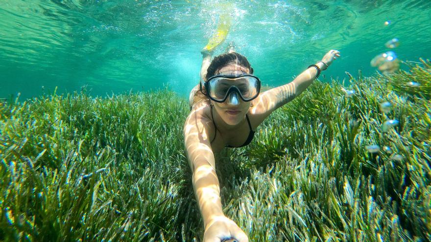 La pradera de posidonia oceánica rodea la isla de Eivissa