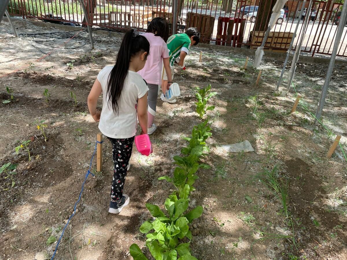 Los huertos escolares son una actividad fantástica para los más pequeños, en la que aprenden y ayudan al medio ambiente