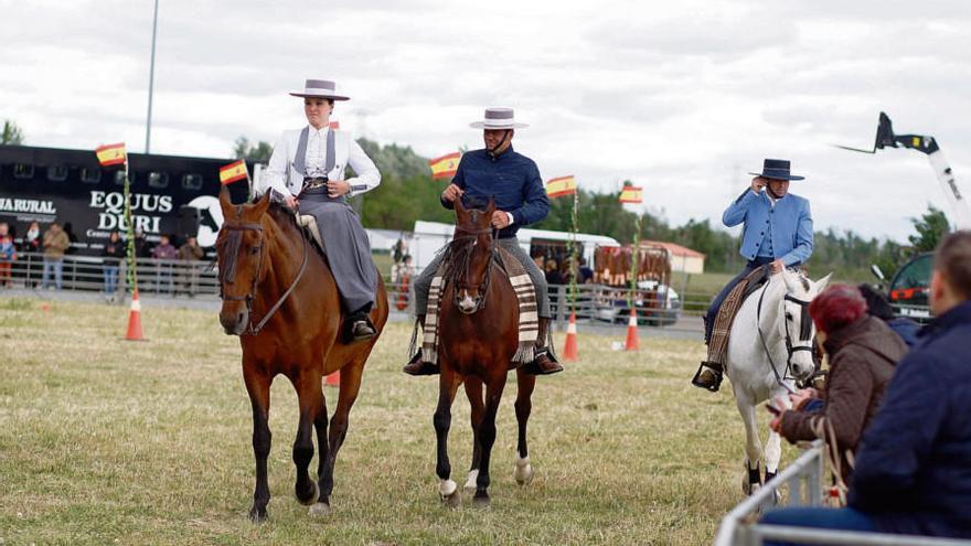 Un momento de la exhibición de manejo de caballos en la pasada edición de la Feria Raíces Zamora Rural. |