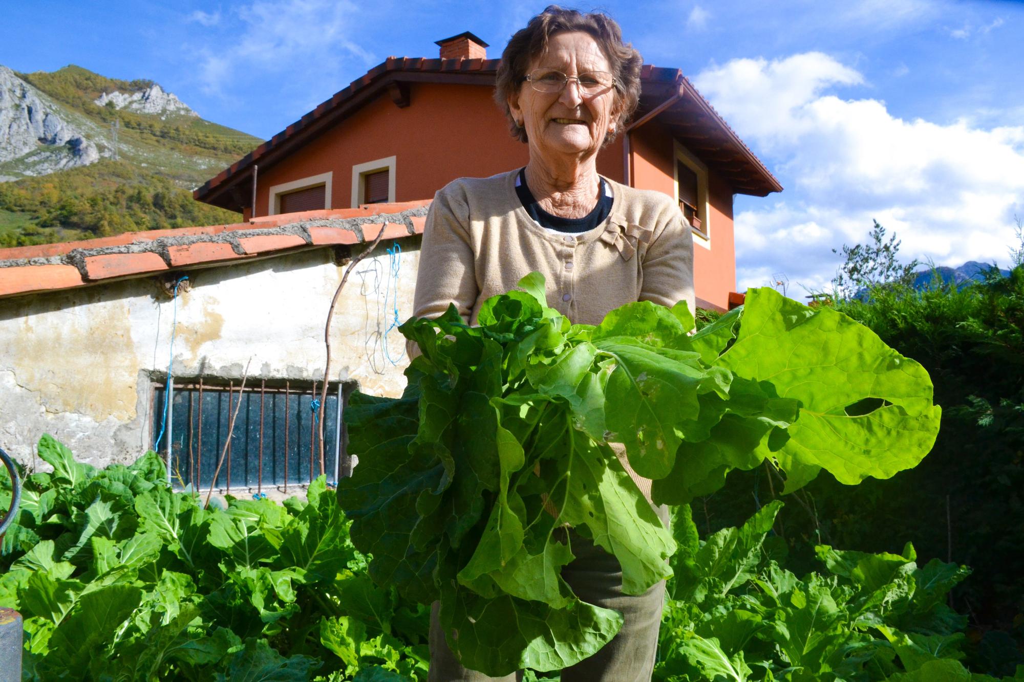 Maximina Fernández muestra las berzas que tiene en la huerta que cultiva.