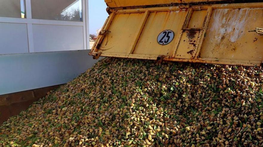 Remolque con almendras, en una imagen de archivo de un centro de recepción de la provincia.