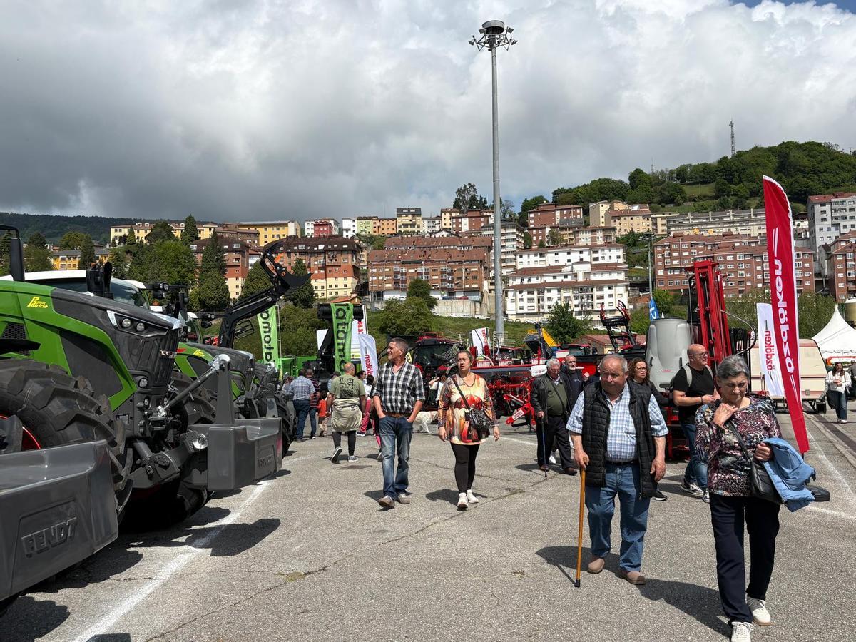 Lleno en el primer día de la Feria de Muestras de Tineo Lleno en el primer día de la Feria de Muestras de Tineo