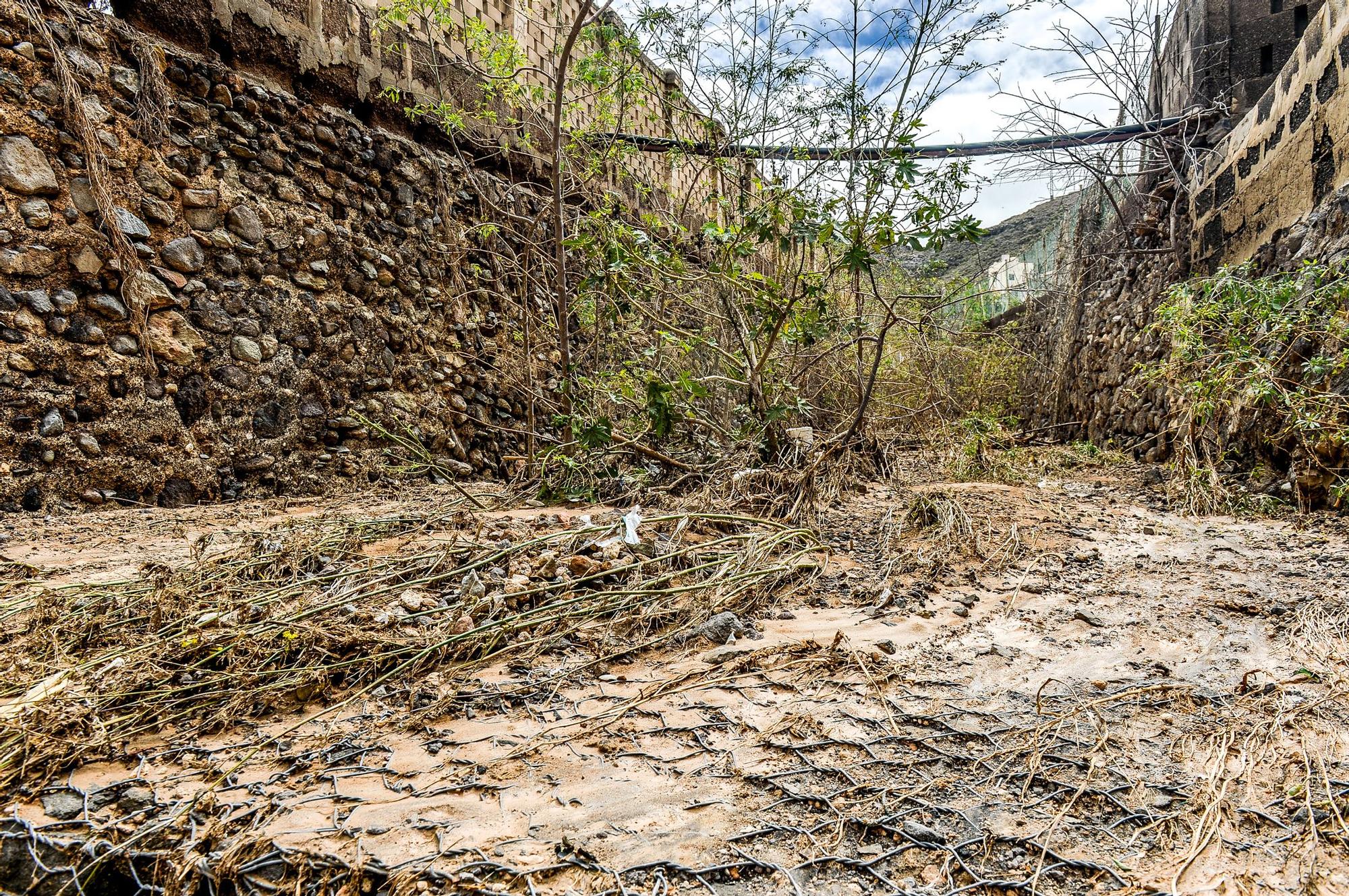 Barrio de Cañada Honda tras el paso del temporal Hermine