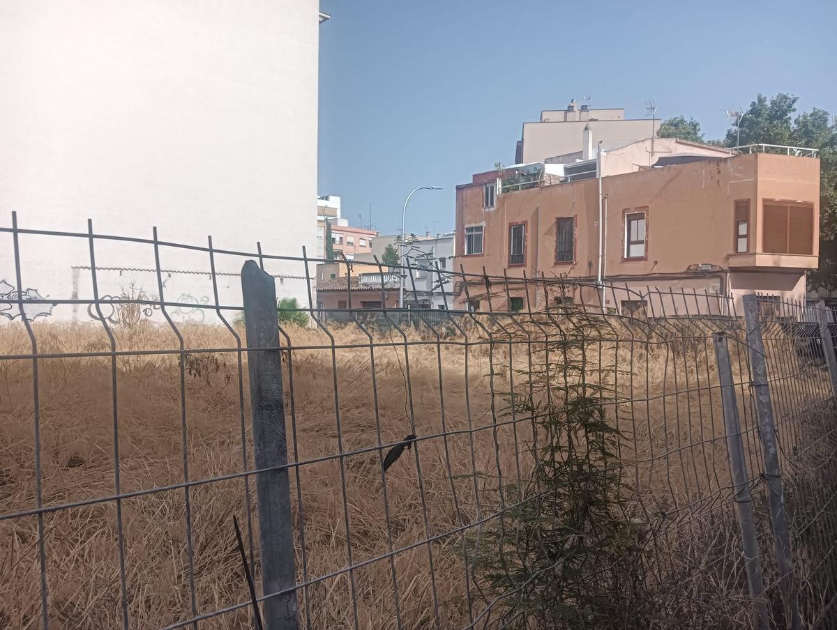Solar con maleza denunciado por Flipau amb Pere Garau.