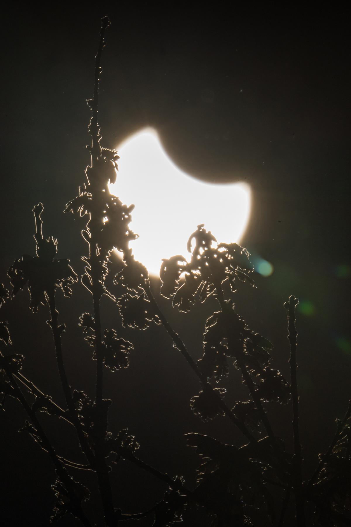 Galicia se convierte en observatorio privilegiado del eclipse de sol