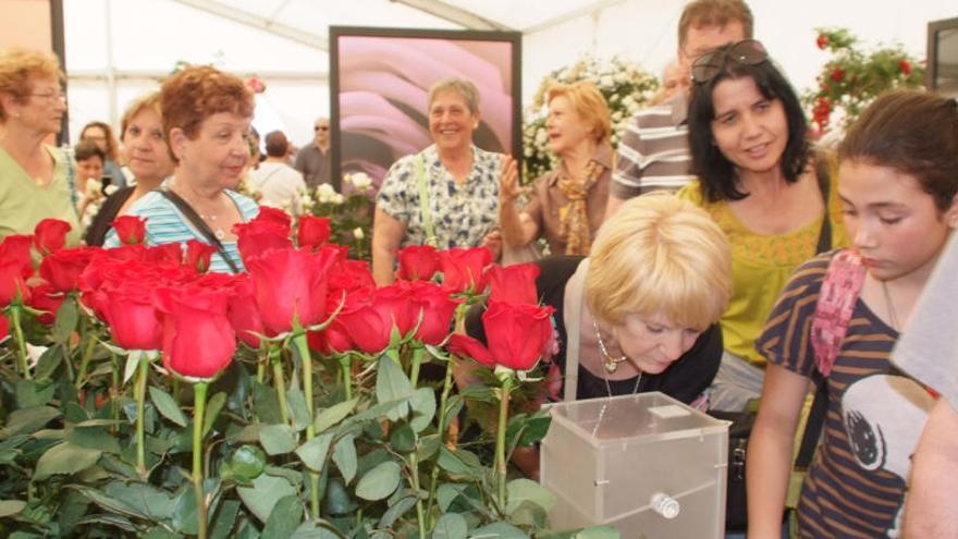 La darrera edició de la Fira de la Rosa