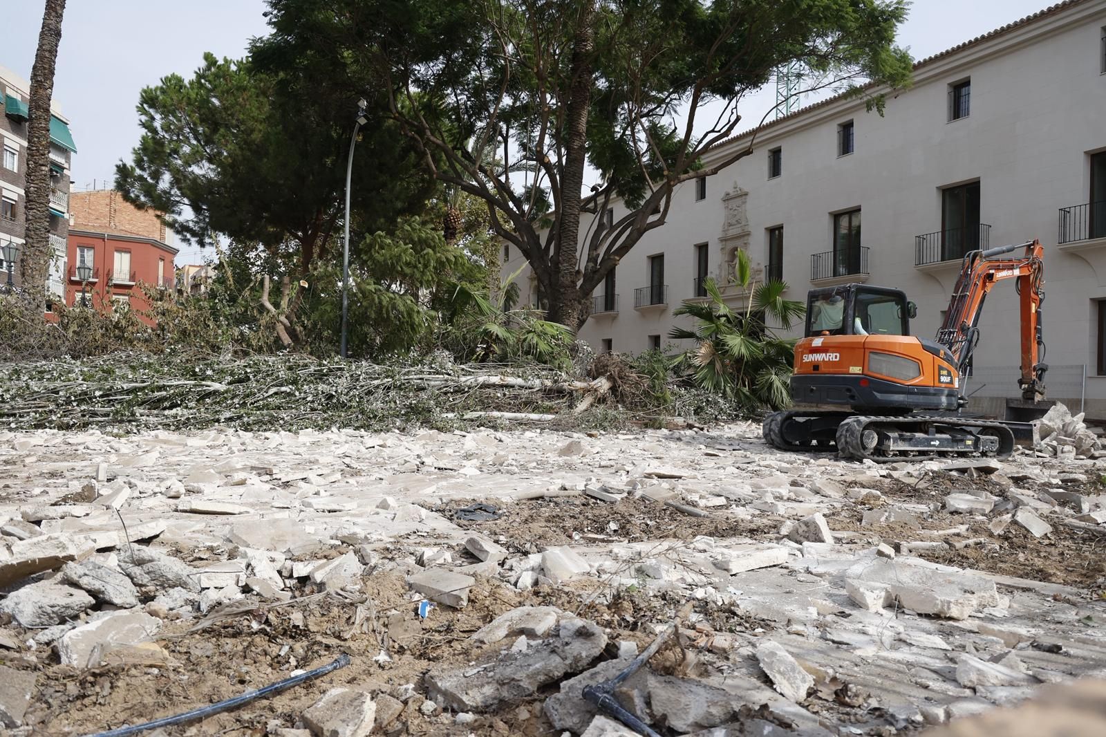 Una nueva tala de árboles en Alicante desata la polémica