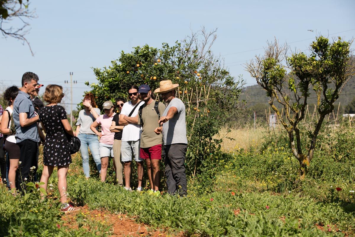 Finca ecológica Tierra de Ibiza