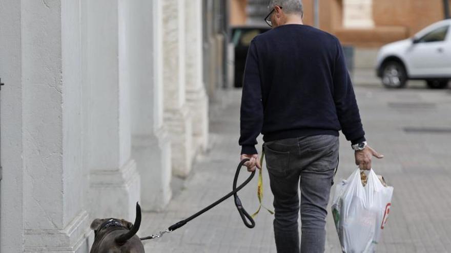 Un ciutadà passejant amb la seva mascota per la ciutat de Girona
