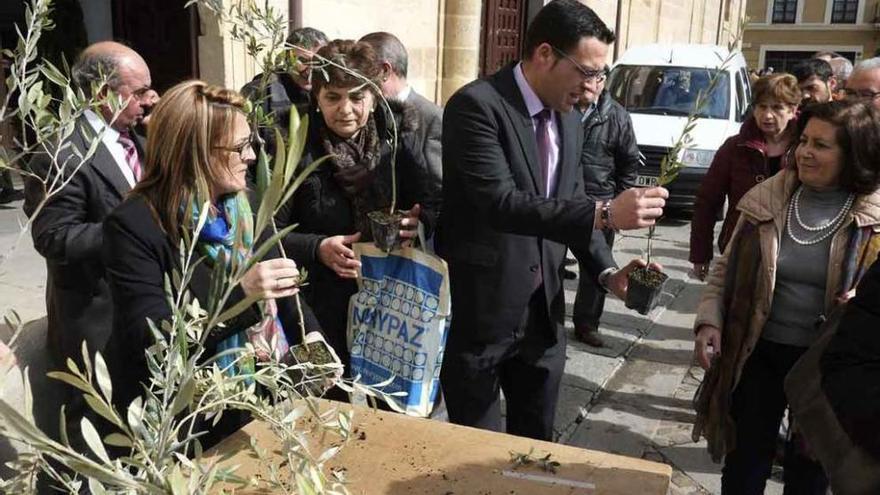 1.500 plantas de olivo para celebrar el Día Mundial del Árbol