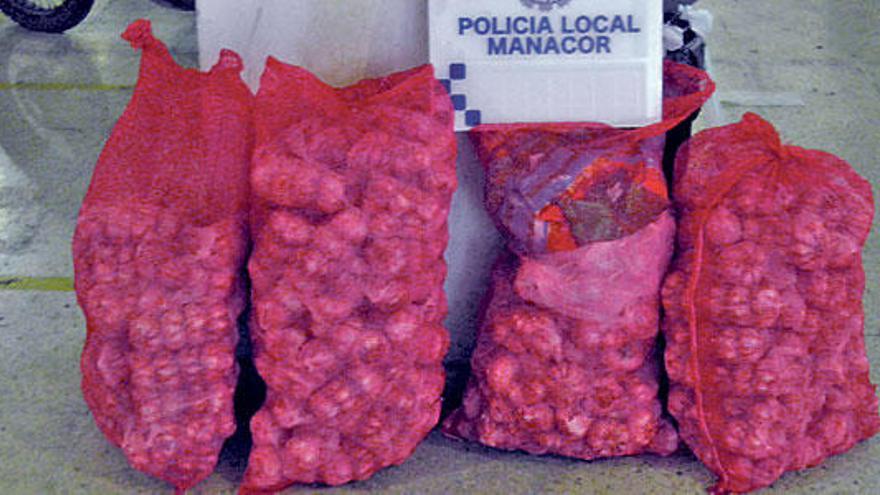 Intervienen en Manacor 64 kilos de ajos