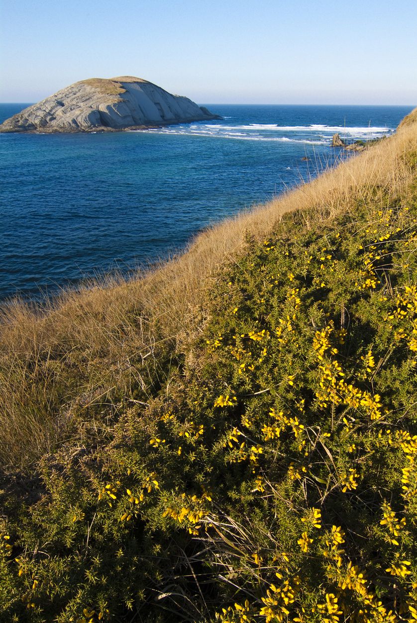 El paisaje natural es uno de los atractivos de la playa.