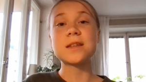 Greta Thunberg al Congrés dels EUA: «És una desgràcia que el 2021 continuem donant subsidis als combustibles fòssils»