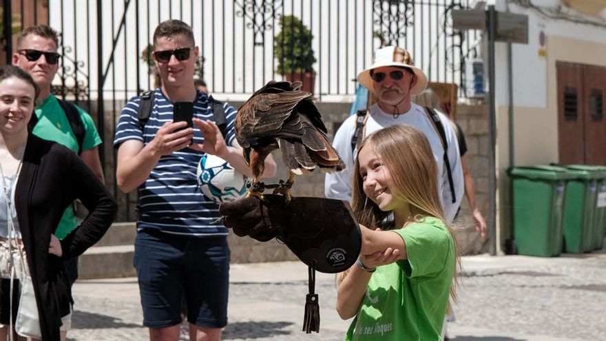 Los animales de la feria Ibiza Medieval, en imágenes