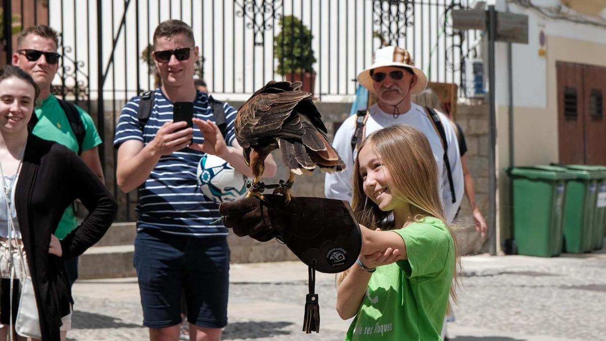 Los animales de la feria Ibiza Medieval.