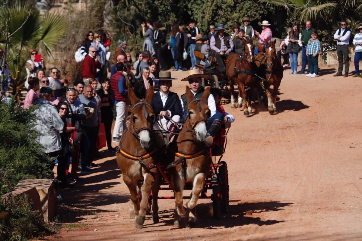 Cientos de caballistas y engances participan en la Marcha Hípica del 28-F en Córdoba