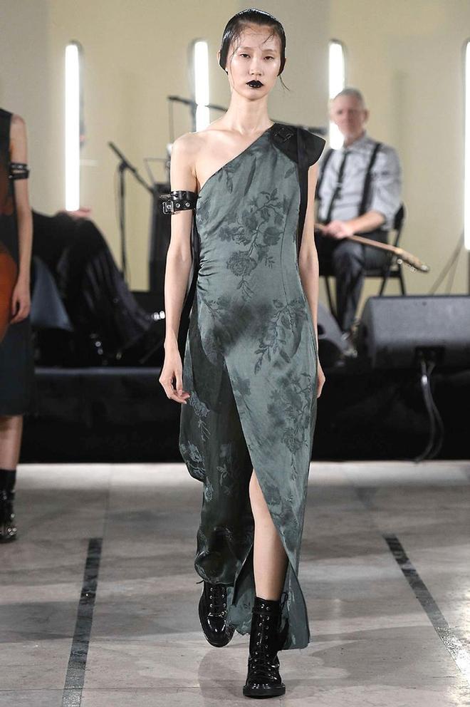 Yang Li