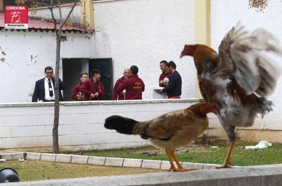 FOTOGALERÍA / Hermandad de La Piedad