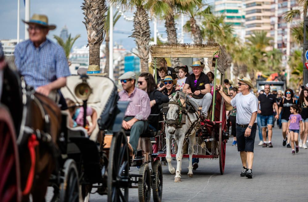 San Isidro 2018 en Benidorm