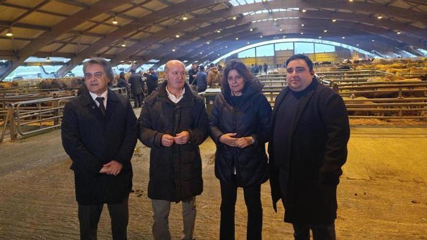 VIDEO: El PP reclama al PSOE que no "juegue" con el futuro de la gestión del Mercado Nacional de Ganado de Siero