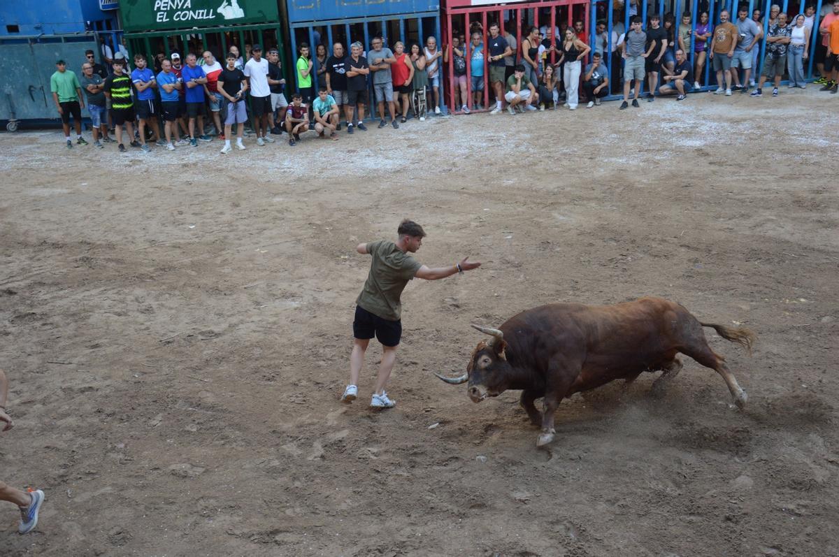 El recinto taurino gozó de un gran ambiente.