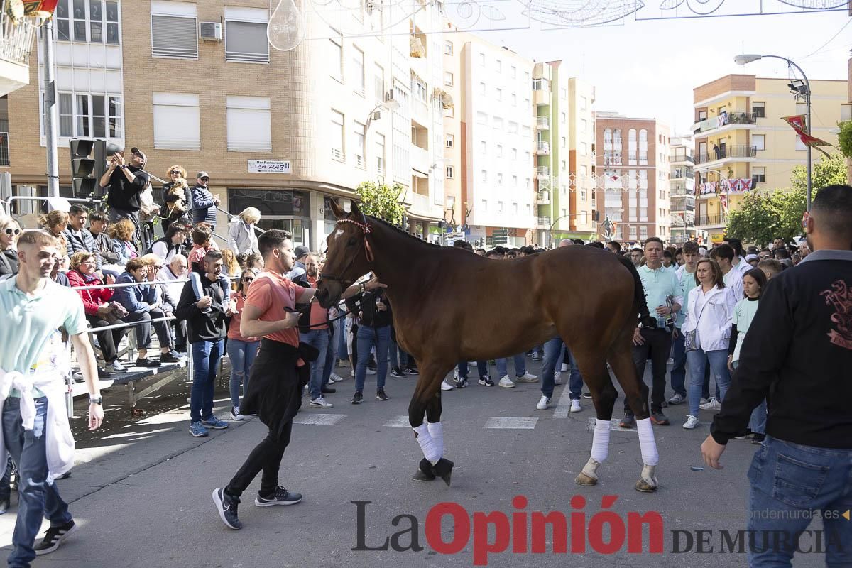 Concurso de caballo a pelo: pasacalles hasta el Hoyo en Caravaca
