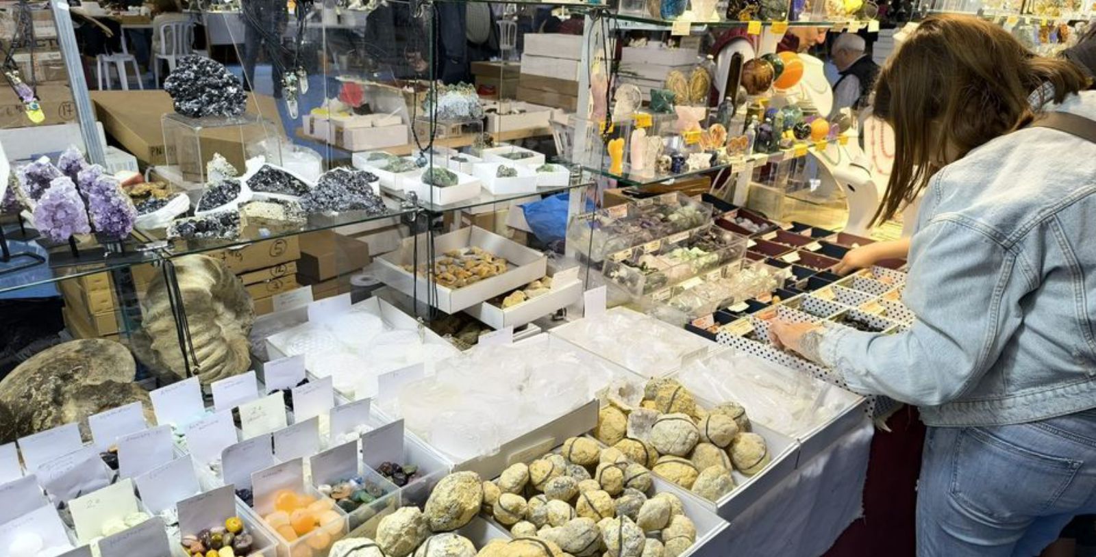 La Feria de Minerales y Fósiles celebra «la mejor edición de su historia»