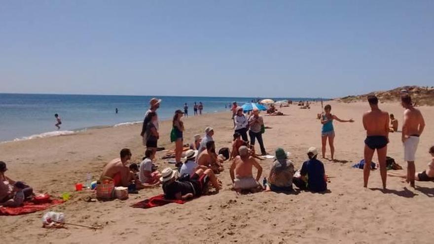 Un grupo de voluntarios recoge 16 bolsas de basura en la playa del Carabassí