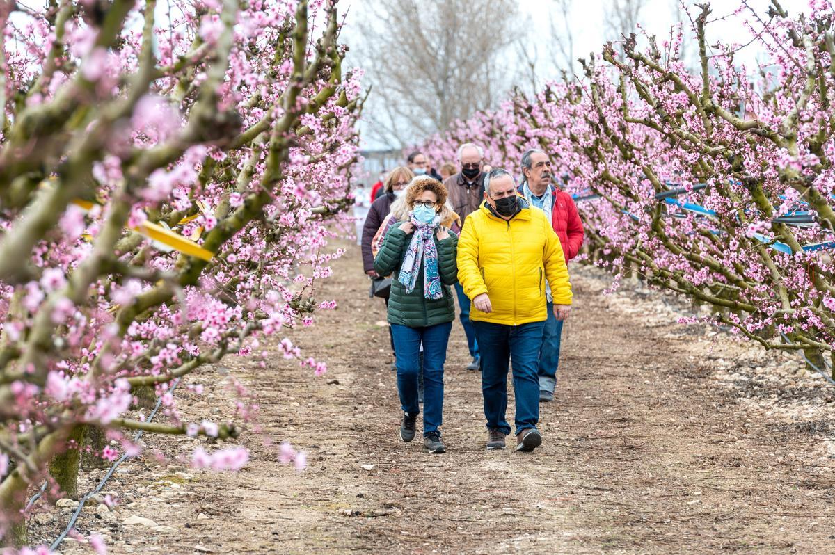 Alcarràs Florit atrae a centenares de visitantes, gracias a la película de Carla Simón