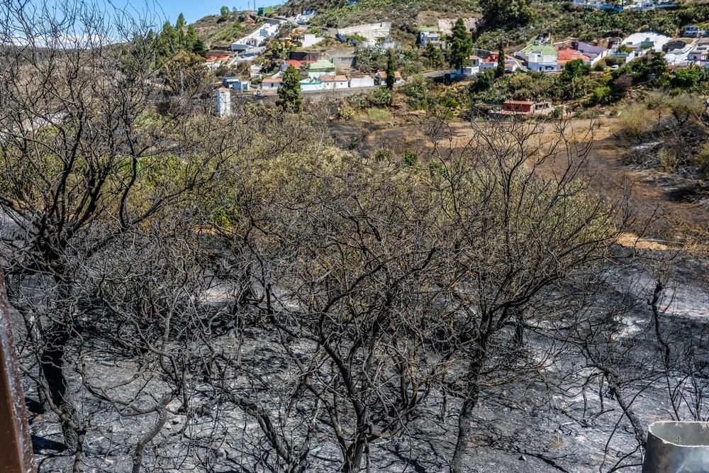 Incendio en Gran Canaria | Zonas afectadas en las medianías de Gáldar y en Artenara