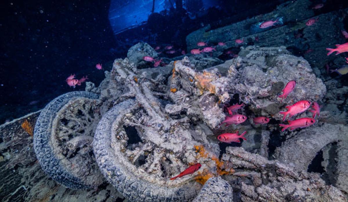 Los mejores fondos marinos del mundo