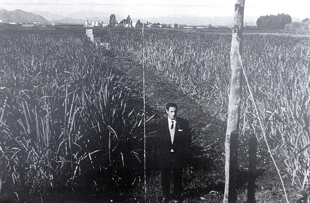 Juan Manuel Muñoz Gambero en 1965, en el cañaveral junto al Guadalhorce en el que localizó la ciudad fenicia del Cerro del Villar.