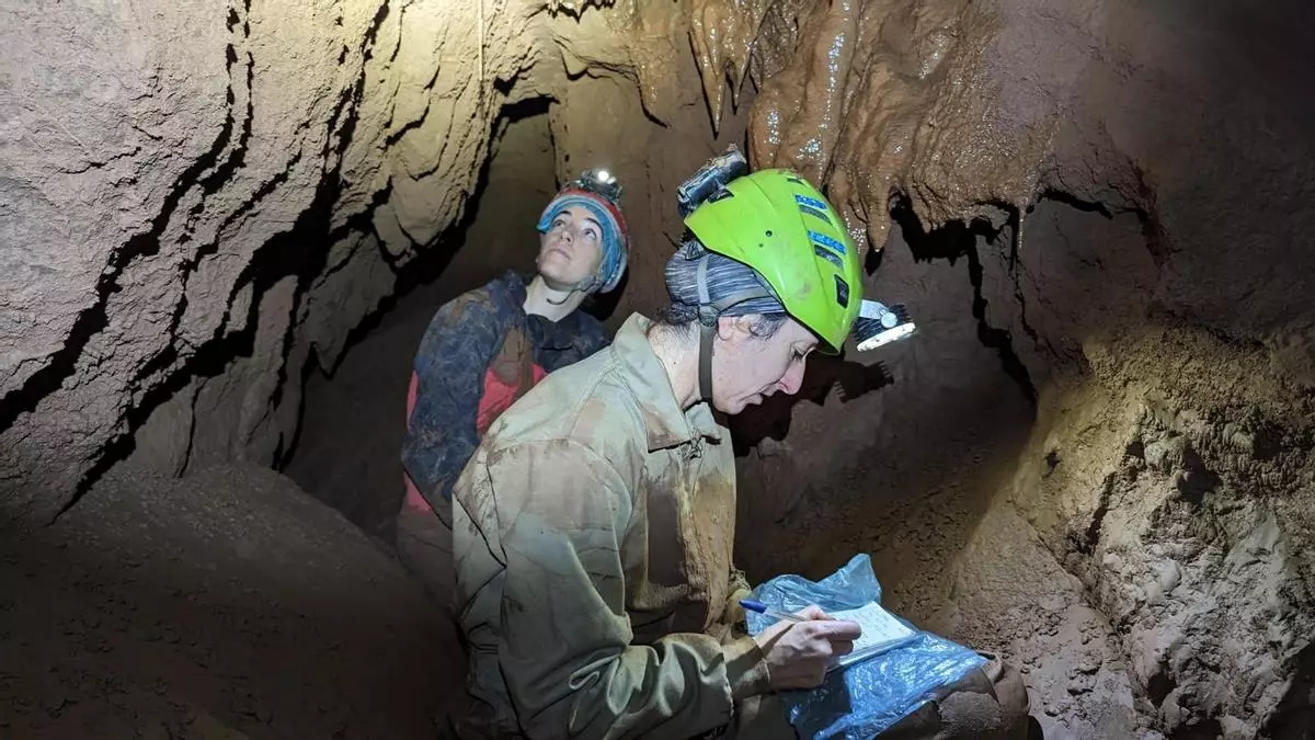 Descubren nuevas galerías en les Coves de Sant Josep de la Vall: ya rozan los tres kilómetros de recorrido