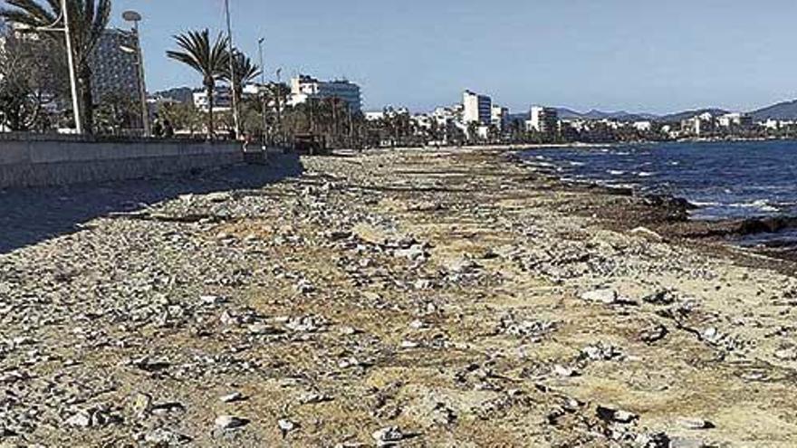 La playa de Cala Millor estÃ¡ cubierta de piedras y rocas porque se ha quedado sin arena.