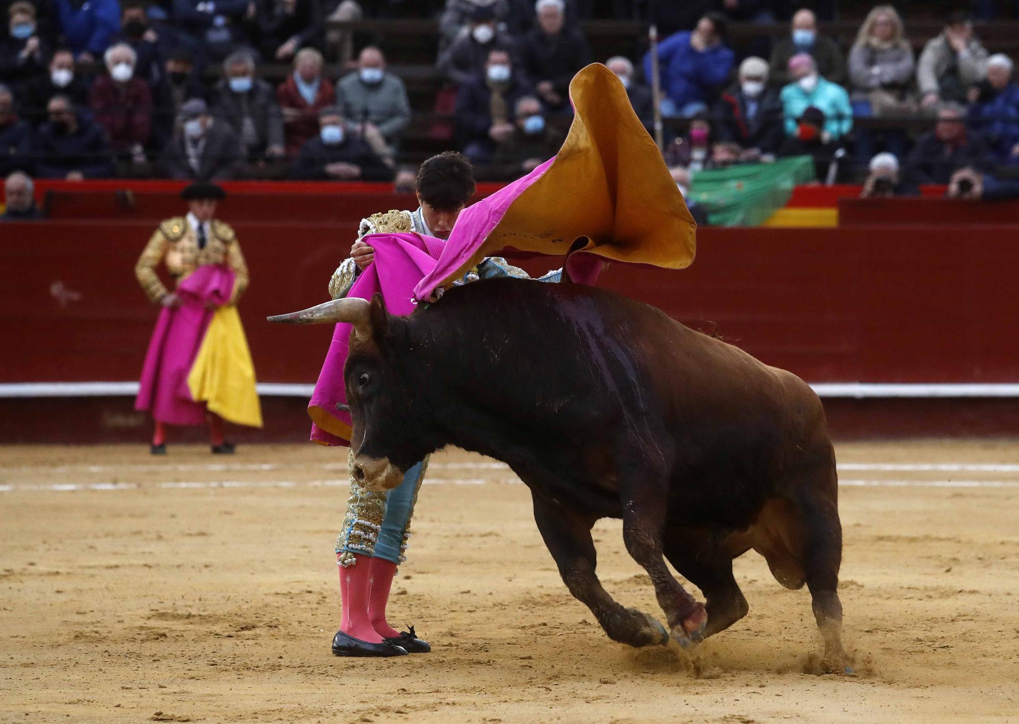 "El Niño de las Monjas", primera puerta grande de Fallas