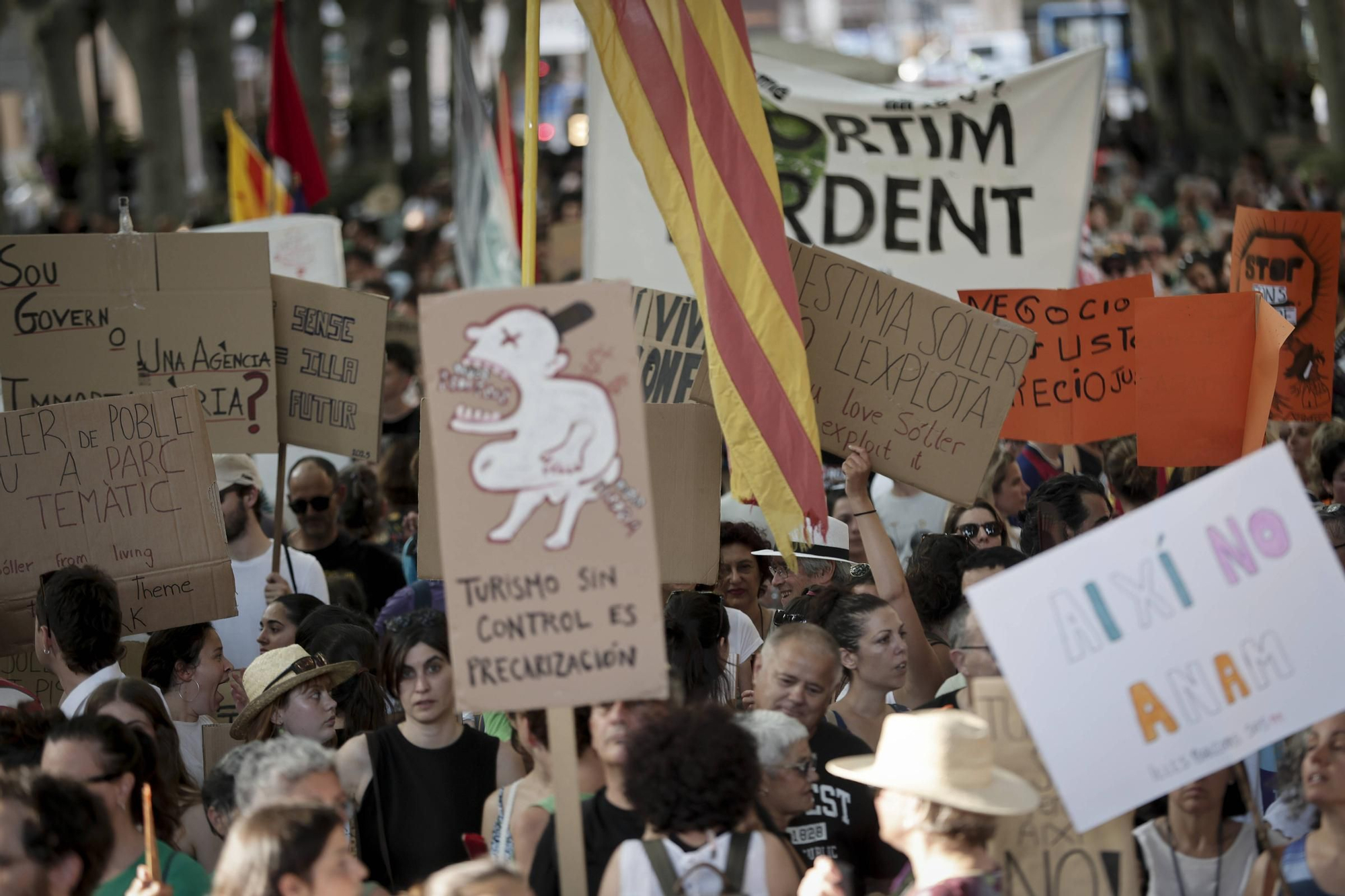 Las mejores pancartas y las imágenes de la manifestación contra la saturación turística en Mallorca