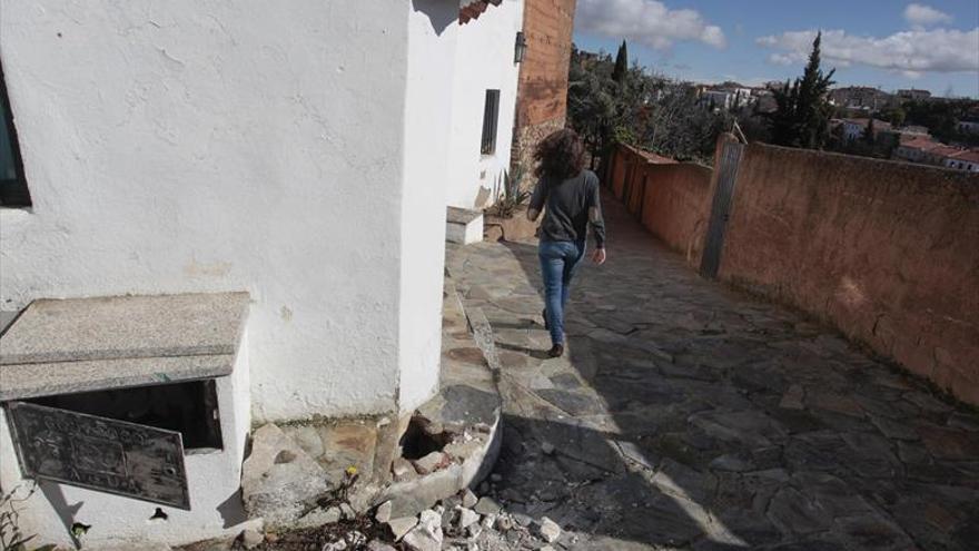 Quejas en el olivar de la judería por «falta» de mantenimiento