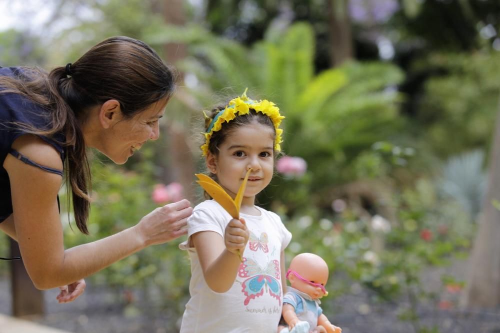 Paseos durante la celebración del Día de Canarias