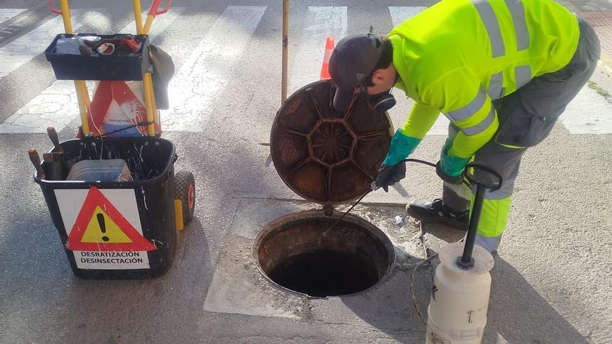 Manises intensifica las fumigaciones para controlar las plagas este verano