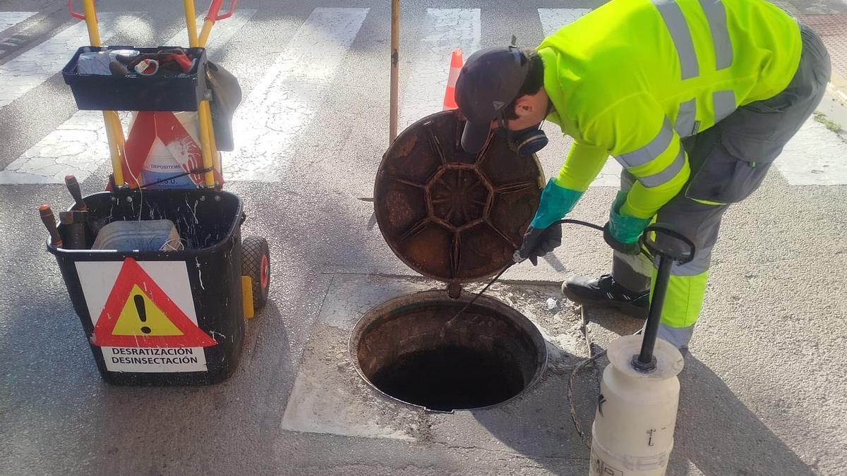 Trabajos de fumigación en el alcantarillado de Manises.