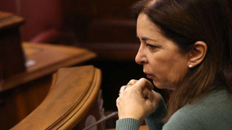 Brígida Mendoza, ayer, en su escaño del Parlamento. | acfi press