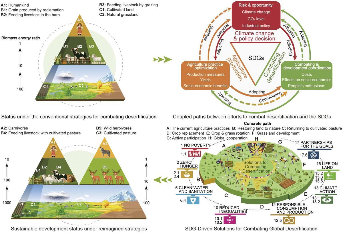 Vías sostenibles para estrategias reimaginadas de reversión de la desertificación.