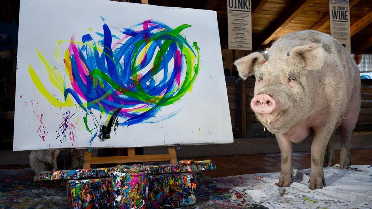 Pigcasso: la cerda que pinta cuadros y los vende por 1.000 euros