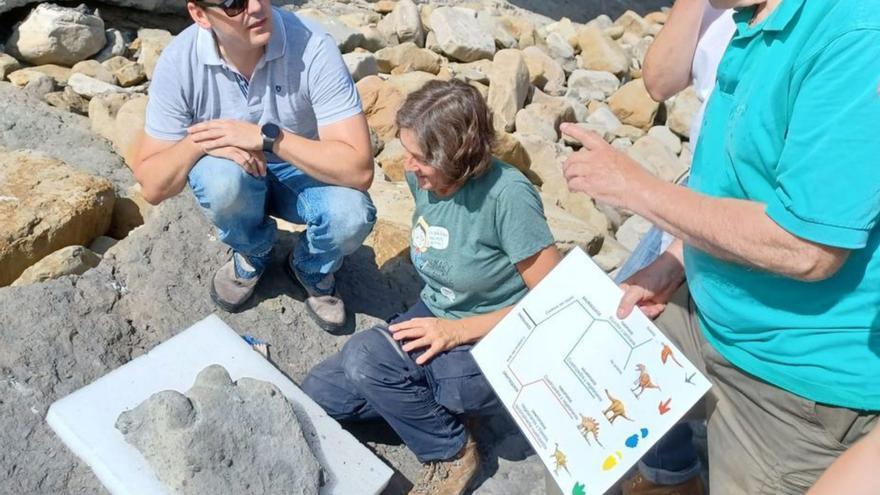 Los investigadores del MUJA rescatan las huellas de dinosaurio halladas en Colunga
