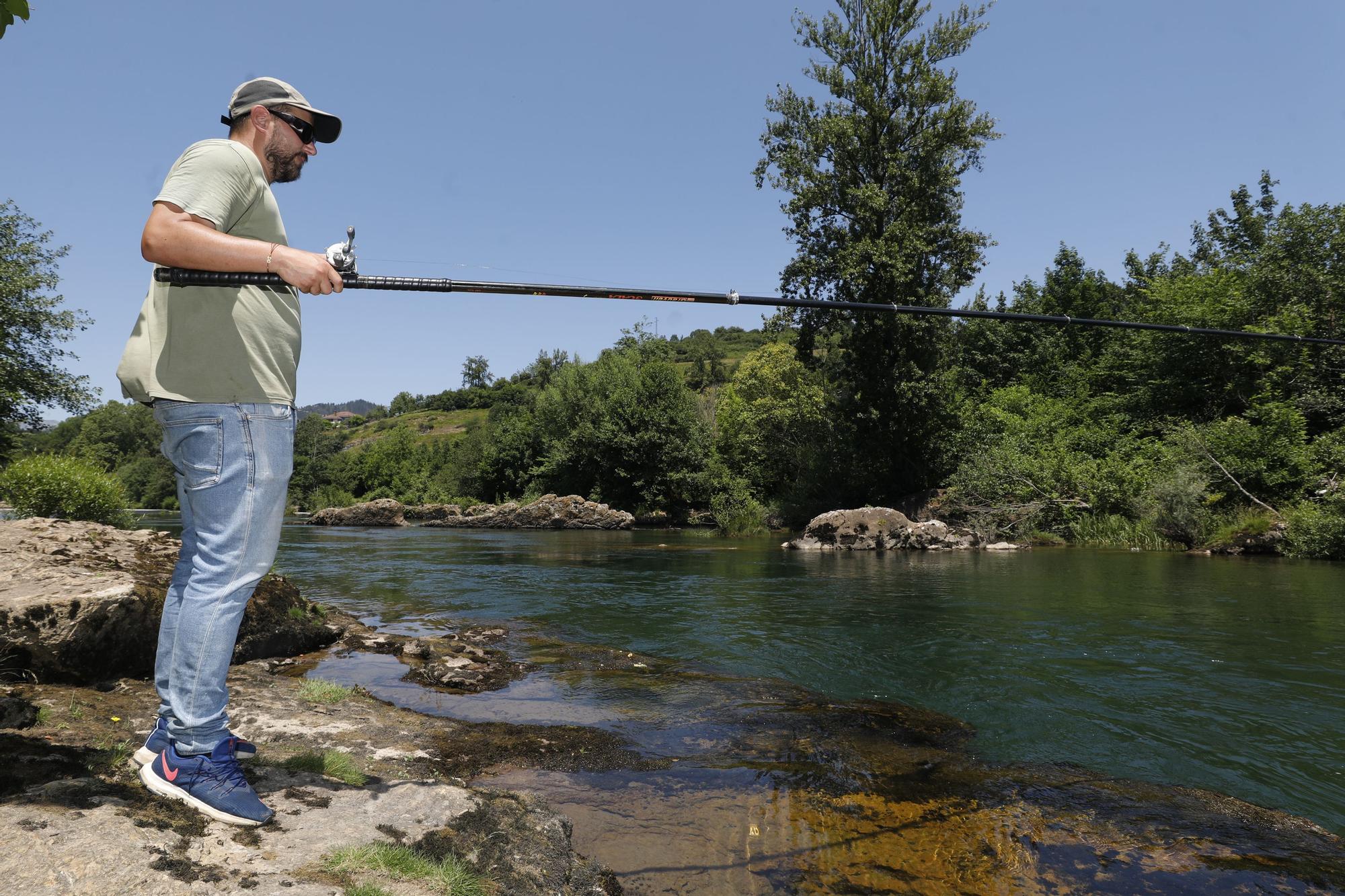 Temporada del salmón en Asturias: último día de pesca con cebo