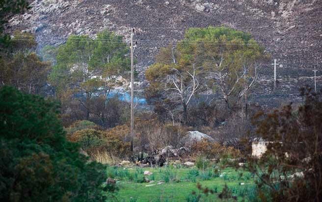 Pollença nach dem Waldbrand