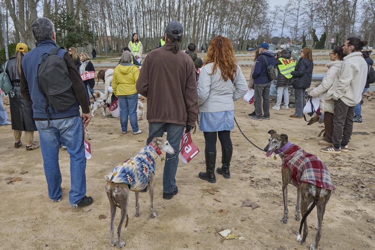 Manifestants amb gossos llebrer, els protagonistes de la manifestació d'enguany