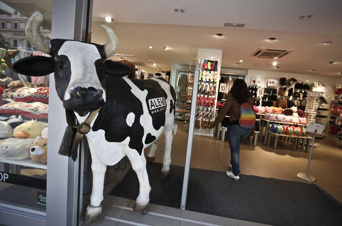 Así es la conocida vaca que muchos niños conocen como 'Lola' por la canción.