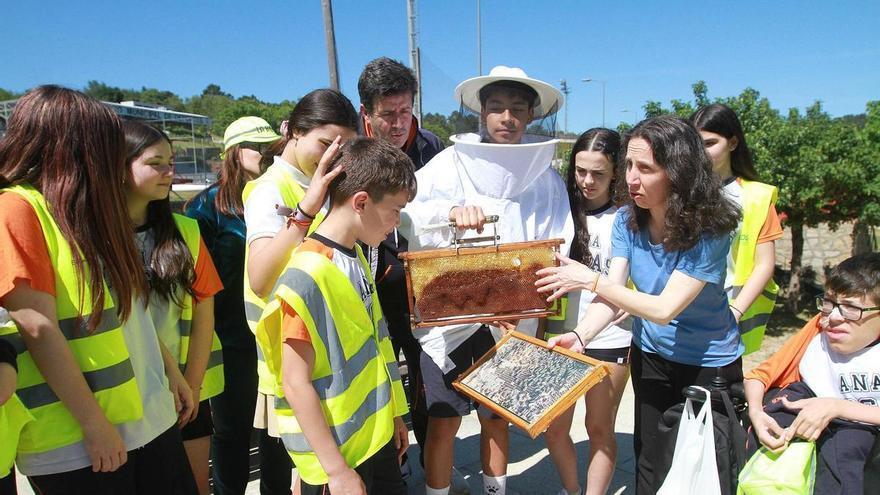 Abejas, miel y naturaleza en Oira: los Ecovigilantes de Ourense celebran el Día de la Tierra con un taller de apicultura