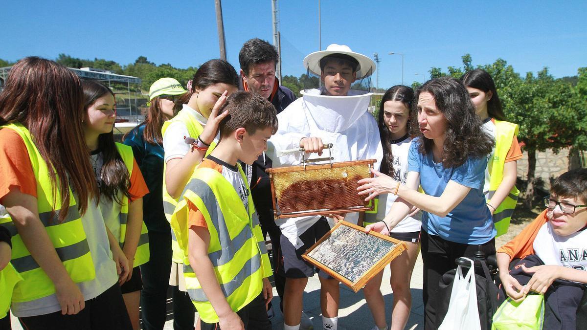 Clase de apicultura en Ourense con Ecovigilantes por el Día da Terra